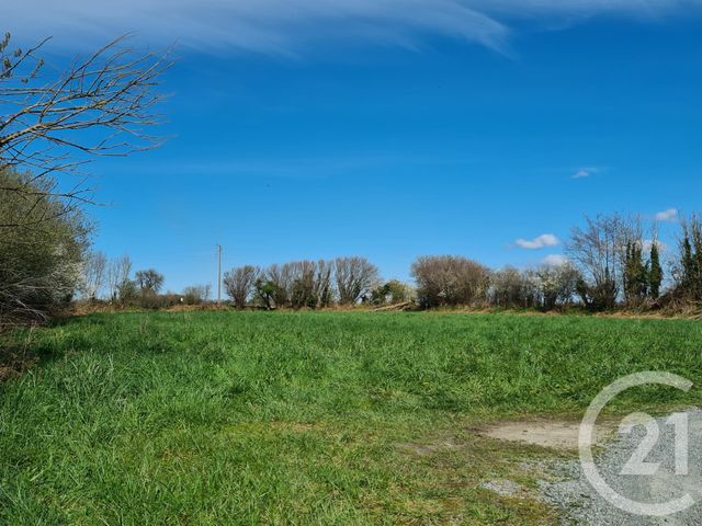 Terrain à vendre - 1600 m2 - Gratot - 50 - BASSE-NORMANDIE