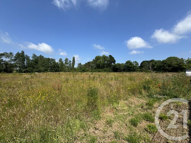 Terrain &agrave; vendre - 460 m2 - Gouville Sur Mer - 50 - BASSE-NORMANDIE