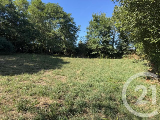 terrain - HEUGUEVILLE SUR SIENNE - 50