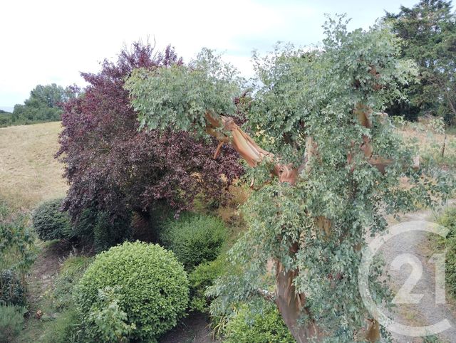 Afficher la photo en grand Maison à vendre - 5 pièces - 86,50 m2 - St Pair Sur Mer - 50 - BASSE-NORMANDIE