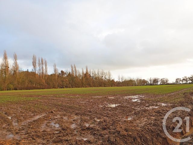 Terrain &agrave; vendre - 584 m2 - St Aubin Des Preaux - 50 - BASSE-NORMANDIE